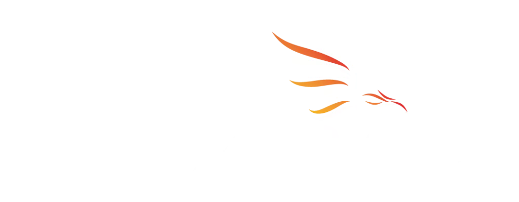 PNX Rescue ambulances